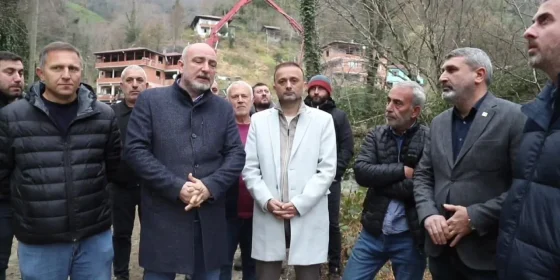 Hopa’da balık ölümleri; dere yatağı ıslahında taze beton suya karışmış!